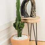 Guestready - Rustic Urban Retreat 아파트 *