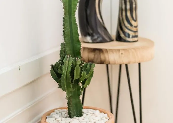 Guestready - Rustic Urban Retreat Lejlighed *